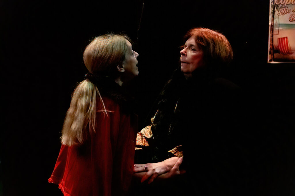 25003 205 DeNoiseAI low light 1024x683