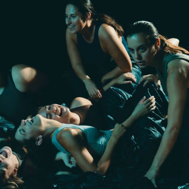 otan sfyrizoyn oi falaines 2 640x640