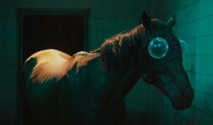 &Epsilon;&gamma;&kappa;&alpha;ί&nu;&iota;&alpha; &sigma;&tau;&omicron; E&Mu;&Sigma;&Tau; &mu;&epsilon; 4 &nu;έ&epsilon;&sigmaf; &epsilon;&kappa;&theta;έ&sigma;&epsilon;&iota;&sigmaf; &tau;&omega;&nu; &Tau;&zeta;ά&nu;&iota;&sigmaf; &Rho;ά&phi;&alpha;, Sammy Baloji, Kasper Bosmans, Emma Talbot