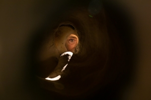 &Theta;&epsilon;&omicron;&delta;ώ&rho;&alpha; &Chi;&omega;&rho;&alpha;&phi;ά | &Mu;ή&tau;&epsilon; &Gamma;έ&nu;&nu;&eta;&sigma;&eta;, &Mu;ή&tau;&epsilon; &Theta;ά&nu;&alpha;&tau;&omicron;&sigmaf; - &Pi;&rho;&omicron;&sigma;&omega;&pi;&iota;&kappa;έ&sigmaf; &Alpha;&nu;&alpha;&sigma;&kappa;&alpha;&phi;έ&sigmaf; | &Mu;&iota;&alpha; &alpha;&nu;&alpha;&sigma;&kappa;&alpha;&phi;ή &sigma;&tau;&omicron; &chi;&rho;ό&nu;&omicron;