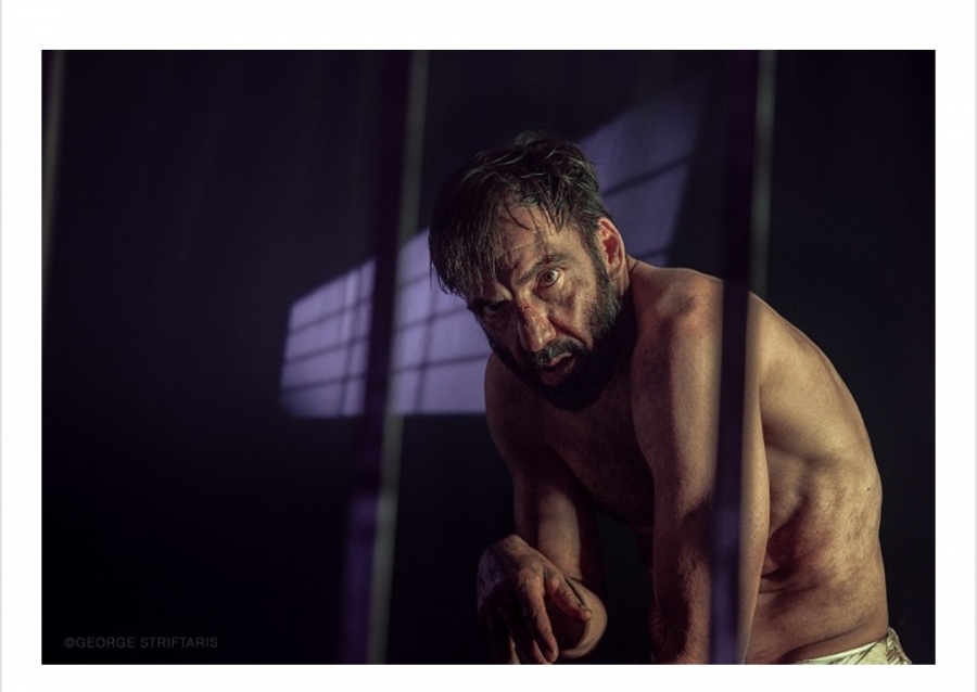 &Delta;&epsilon;&lambda;&tau;ί&omicron;  &Tau;ύ&pi;&omicron;&upsilon;:&Sigma;&kappa;ό&tau;&omega;&sigma;&alpha; &tau;&omicron;&nu; &nu;&tau;&alpha;ή &tau;&omicron;&upsilon; &alpha;&pi;&alpha;&rho;&tau;&chi;ά&iota;&nu;&tau; - &Delta;&eta;&mu;ή&tau;&rho;&eta;&sigmaf; &Tau;&sigma;&alpha;&phi;έ&nu;&tau;&alpha;&sigmaf;