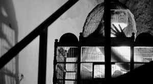 &Epsilon;ί&delta;&alpha;&mu;&epsilon; &tau;&eta;&nu; &pi;&alpha;&rho;ά&sigma;&tau;&alpha;&sigma;&eta; &Tau;&Epsilon;&Lambda;&Mu;&Alpha;&Tau;&Alpha;/&Nu;&Epsilon;&Kappa;&Rho;&Omicron;&Tau;&Alpha;&Phi;&Epsilon;&Iota;&Omicron; &sigma;&tau;&omicron; &Pi;&Lambda;&Upsilon;&Phi;&Alpha;