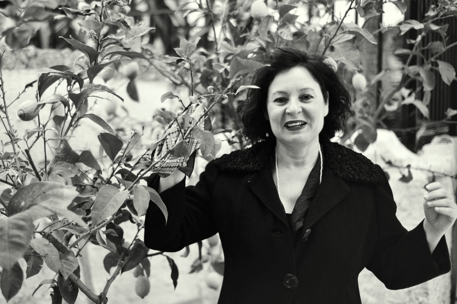 &Pi;&alpha;&rho;ά&tau;&alpha;&sigma;&eta; &Pi;&alpha;&rho;&alpha;&sigma;&tau;ά&sigma;&epsilon;&omega;&nu; &Iota;&Iota; &laquo;&Mu;&epsilon; έ&lambda;&epsilon;&gamma;&alpha;&nu; &Nu;&tau;&epsilon;&lambda;&iota;&Mu;&alpha;&rho;ί&kappa;&alpha;&hellip;&raquo; &sigma;&tau;&omicron; &Theta;έ&alpha;&tau;&rho;&omicron; 104