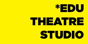 *THEATRE STUDIO (&theta;&epsilon;&alpha;&tau;&rho;&iota;&kappa;ό &epsilon;&rho;&gamma;&alpha;&sigma;&tau;ή&rho;&iota;)