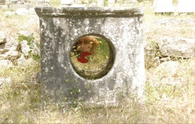 &Lambda;ύ&sigma;&iota;&sigmaf; - &Alpha;&mu;&phi;&iota;ά&rho;&epsilon;&iota;&omicron; &Omega;&rho;&omega;&pi;ό&sigmaf;